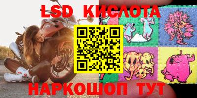 эйфоретик Бузулук